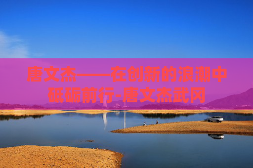 唐文杰——在创新的浪潮中砥砺前行-唐文杰武冈