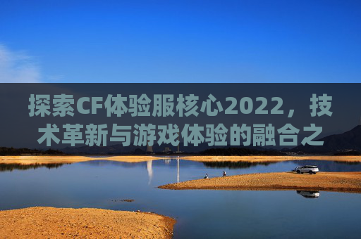 探索CF体验服核心2022，技术革新与游戏体验的融合之旅-cf体验服核心玩家群
