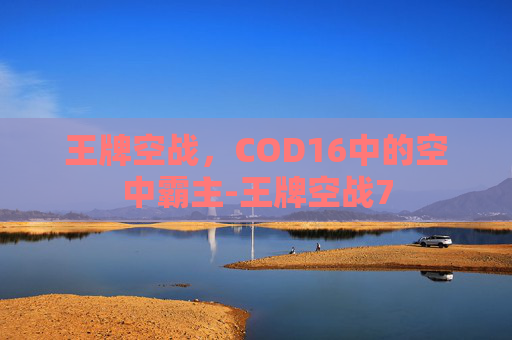 王牌空战，COD16中的空中霸主-王牌空战7