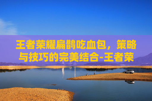 王者荣耀扁鹊吃血包，策略与技巧的完美结合-王者荣耀扁鹊吃血包怎么出装