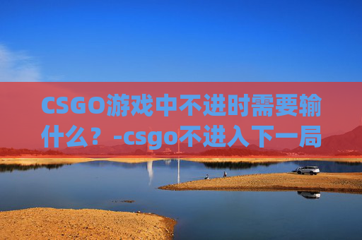 CSGO游戏中不进时需要输什么？-csgo不进入下一局