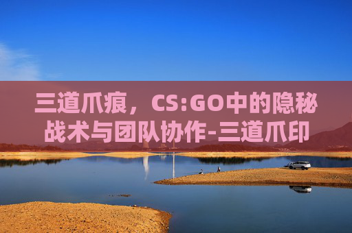三道爪痕，CS:GO中的隐秘战术与团队协作-三道爪印是什么饮料