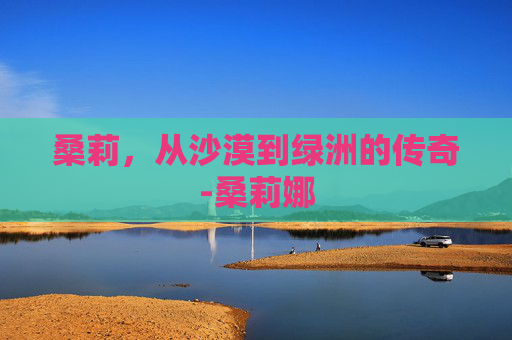 桑莉，从沙漠到绿洲的传奇-桑莉娜