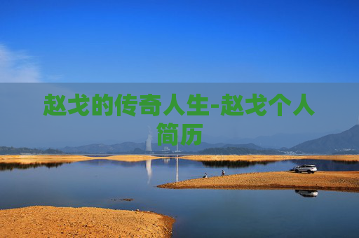 赵戈的传奇人生-赵戈个人简历