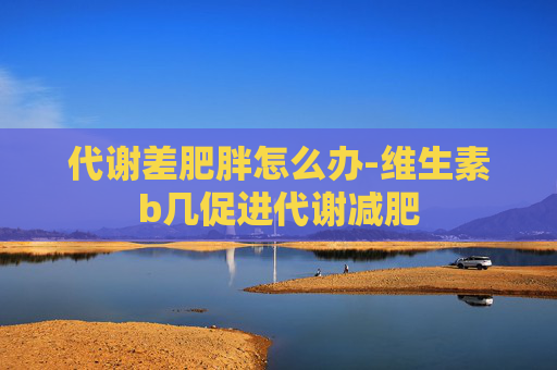 代谢差肥胖怎么办-维生素b几促进代谢减肥