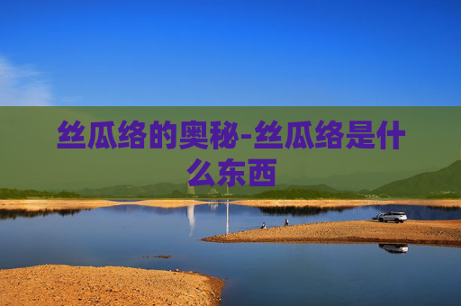 丝瓜络的奥秘-丝瓜络是什么东西