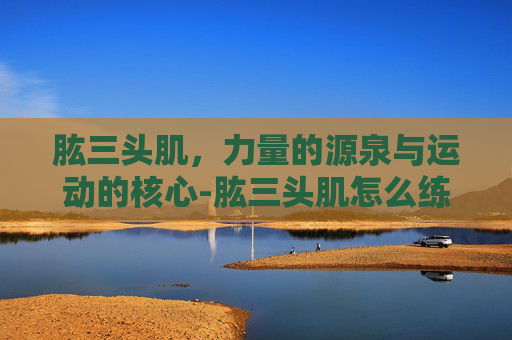 肱三头肌，力量的源泉与运动的核心-肱三头肌怎么练