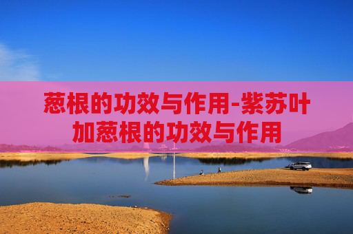 葱根的功效与作用-紫苏叶加葱根的功效与作用