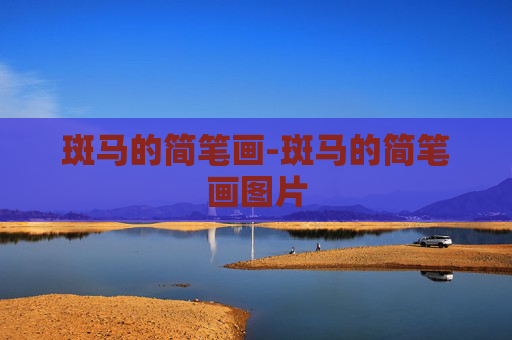 斑马的简笔画-斑马的简笔画图片