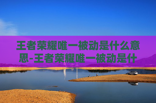 王者荣耀唯一被动是什么意思-王者荣耀唯一被动是什么意思啊