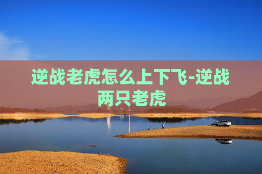 逆战老虎怎么上下飞-逆战两只老虎