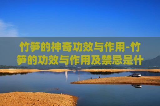 竹笋的神奇功效与作用-竹笋的功效与作用及禁忌是什么