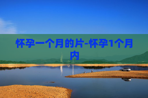 怀孕一个月的片-怀孕1个月内