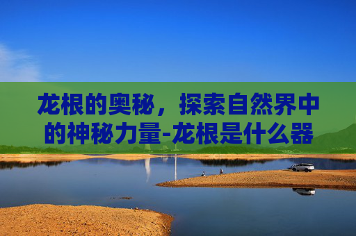 龙根的奥秘，探索自然界中的神秘力量-龙根是什么器官