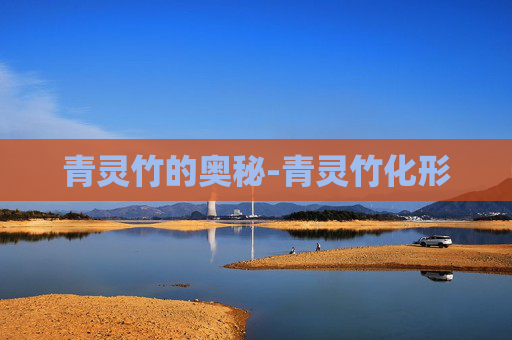 青灵竹的奥秘-青灵竹化形