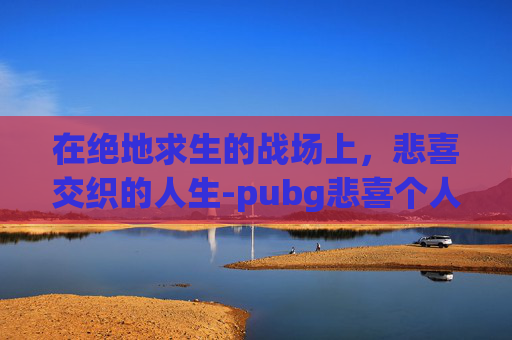 在绝地求生的战场上，悲喜交织的人生-pubg悲喜个人简介