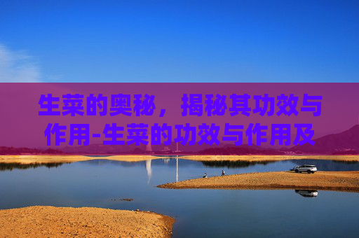 生菜的奥秘，揭秘其功效与作用-生菜的功效与作用及营养价值