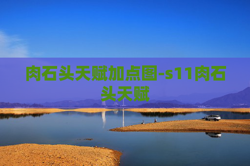 肉石头天赋加点图-s11肉石头天赋 肉石头天赋加点图-s11肉石头天赋