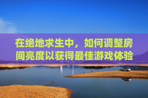 在绝地求生中,如何调整房间亮度以获得最佳游戏体验?-pubg室内太暗 在绝地求生中,如何调整房间亮度以获得最佳游戏体验?-pubg室内太暗