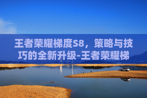 王者荣耀梯度S8，策略与技巧的全新升级-王者荣耀梯度是什么意思