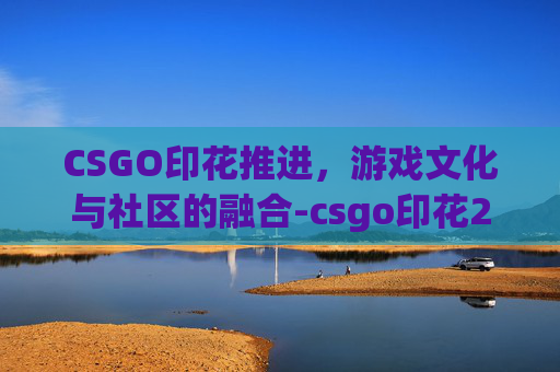 CSGO印花推进，游戏文化与社区的融合-csgo印花2020rmr