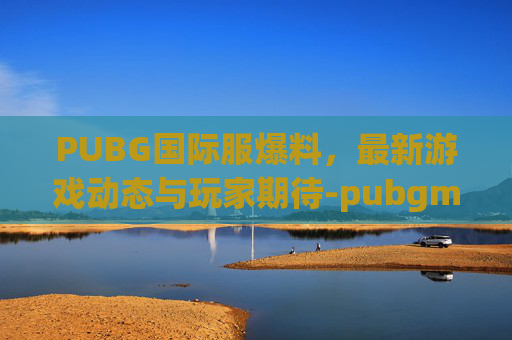 PUBG国际服爆料，最新游戏动态与玩家期待-pubgmobile国际服官网 新闻