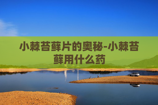 小棘苔藓片的奥秘-小棘苔藓用什么药