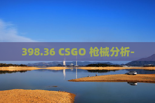 398.36 CSGO 枪械分析-