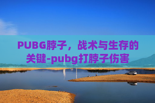 PUBG脖子，战术与生存的关键-pubg打脖子伤害