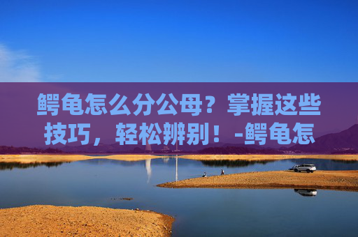 鳄龟怎么分公母？掌握这些技巧，轻松辨别！-鳄龟怎么分公母?
