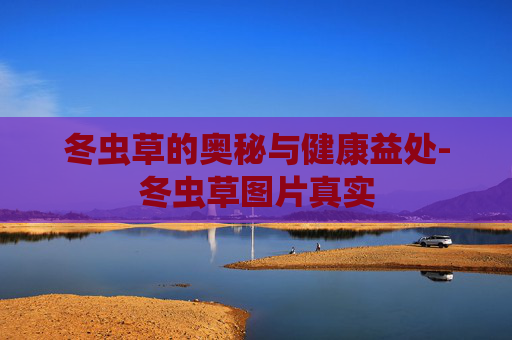冬虫草的奥秘与健康益处-冬虫草图片真实