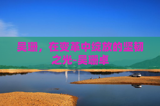 吴珊，在变革中绽放的坚韧之光-吴珊卓