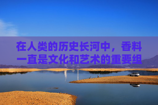 在人类的历史长河中，香料一直是文化和艺术的重要组成部分。它们不仅为食物增添了风味，还被用来创造氛围、表达情感，甚至用于医疗目的。本文将探讨香料的多重作用，从烹饪到宗教仪式，再到心理层面的影响。-香的作用与功效
