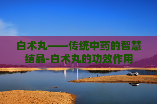 白术丸——传统中药的智慧结晶-白术丸的功效作用