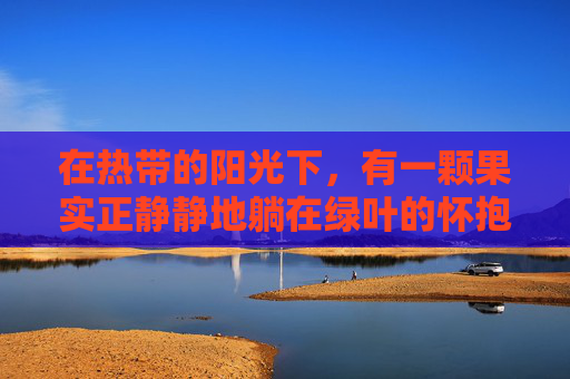 在热带的阳光下，有一颗果实正静静地躺在绿叶的怀抱中。它不是苹果也不是香蕉，更不是常见的水果，而是一只独特的榴莲。榴莲以其独特的气味和味道，成为了许多人心中的美食怪兽。-一只榴莲三只鸡的说法是真的吗