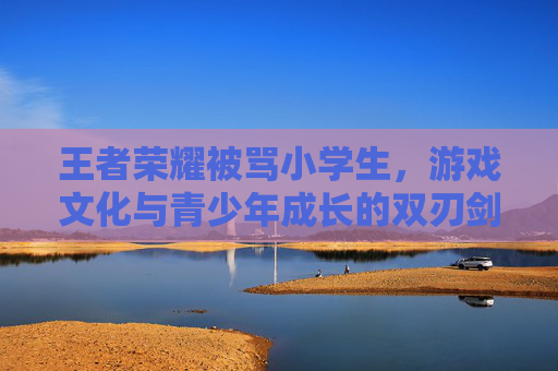 王者荣耀被骂小学生，游戏文化与青少年成长的双刃剑-王者荣耀小学生骂人的咋那么多
