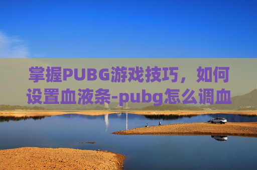 掌握PUBG游戏技巧，如何设置血液条-pubg怎么调血