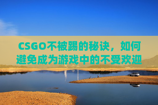 CSGO不被踢的秘诀，如何避免成为游戏中的不受欢迎者-csgo打队友不被踢指令