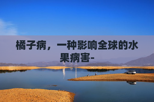 橘子病，一种影响全球的水果病害-
