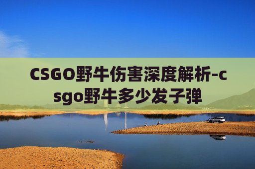 CSGO野牛伤害深度解析-csgo野牛多少发子弹
