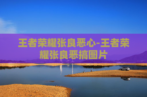 王者荣耀张良恶心-王者荣耀张良恶搞图片
