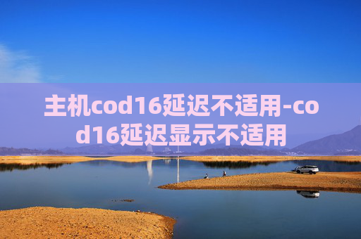 主机cod16延迟不适用-cod16延迟显示不适用
