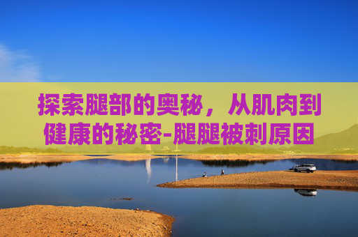 探索腿部的奥秘，从肌肉到健康的秘密-腿腿被刺原因