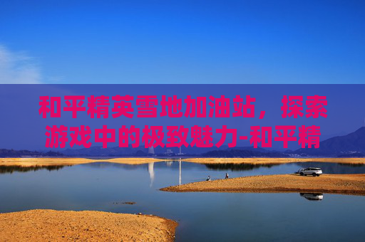 和平精英雪地加油站，探索游戏中的极致魅力-和平精英雪地哪里有车