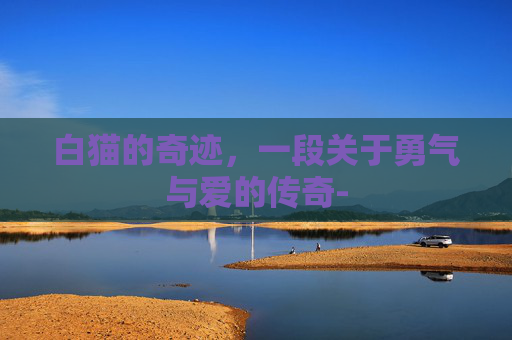 白猫的奇迹，一段关于勇气与爱的传奇-
