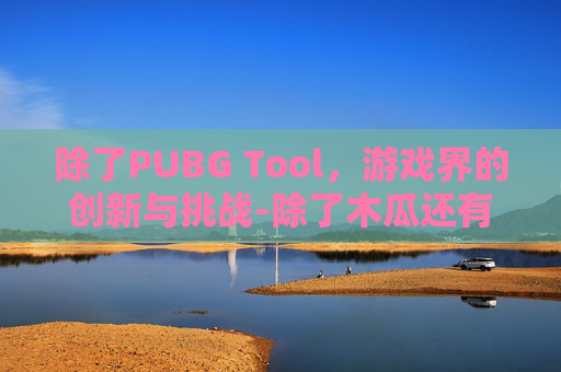 除了PUBG Tool，游戏界的创新与挑战-除了木瓜还有什么食物丰胸