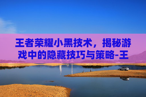 王者荣耀小黑技术，揭秘游戏中的隐藏技巧与策略-王者荣耀小黑技术出装
