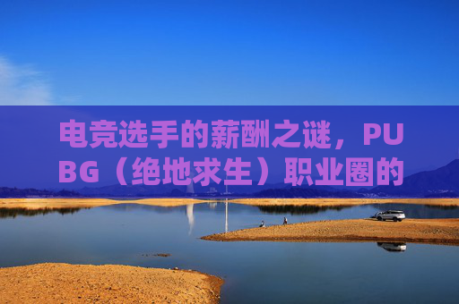 电竞选手的薪酬之谜，PUBG（绝地求生）职业圈的经济现状-绝地求生选手工资