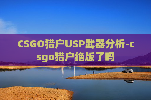 CSGO猎户USP武器分析-csgo猎户绝版了吗