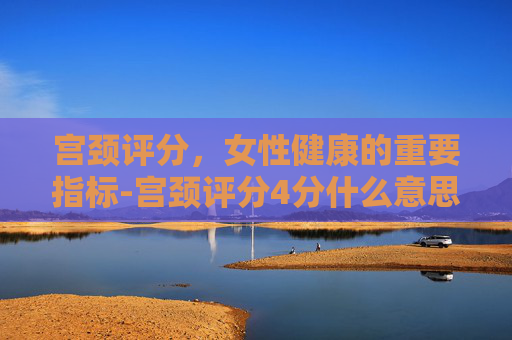 宫颈评分，女性健康的重要指标-宫颈评分4分什么意思